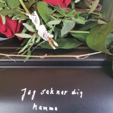 VÄLKOMMEN TILL EN DAG I TAGET